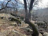 H28R Stagecoach Trail - Photo 4