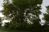 TBD Replat lot Rs County Road 1520 - Photo 2