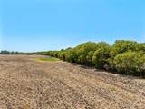 TBD +/- 12.5 Acres T M West Parkway - Photo 3