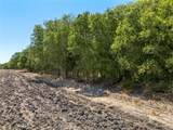 TBD +/- 12.5 Acres T M West Parkway - Photo 4