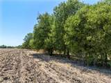 TBD +/- 12.5 Acres T M West Parkway - Photo 5