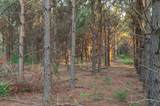 473 Cr 3390 - Photo 6
