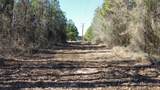 9928 County Road 144 - Photo 21
