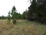 TBD Rains County Road 3040 - Photo 4