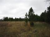 TBD Rains County Road 3040 - Photo 6