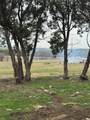 TBD Williamson Road - Photo 22