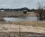 TBD Williamson Road - Photo 5