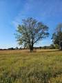 LOT 4 Fm1402 - Photo 2
