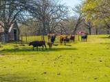 10610 County Road 3605 - Photo 38