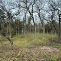 3203 Persimmon Road - Photo 4