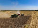 00 County Road 1370 - Photo 12