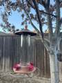 804 Mountcastle Drive - Photo 20