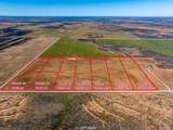 TRACT 12 TBD County Road 415 - Photo 1