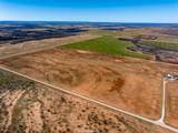 TRACT 12 TBD County Road 415 - Photo 2