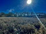 10 Ac Fm 1753 Highway - Photo 12