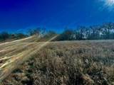 10 Ac Fm 1753 Highway - Photo 13