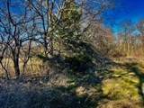 10 Ac Fm 1753 Highway - Photo 15