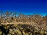 10 Ac Fm 1753 Highway - Photo 16