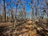 10 Ac Fm 1753 Highway - Photo 18