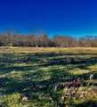 10 Ac Fm 1753 Highway - Photo 20