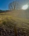 10 Ac Fm 1753 Highway - Photo 25