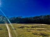 10 Ac Fm 1753 Highway - Photo 3