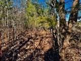 10 Ac Fm 1753 Highway - Photo 8
