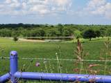TBD County Road 212 - Photo 1