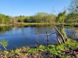 TBD County Road 212 - Photo 10