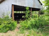 TBD County Road 212 - Photo 13
