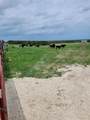 TBD County Road 212 - Photo 14