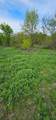 TBD County Road 212 - Photo 21
