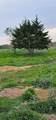 TBD County Road 212 - Photo 28