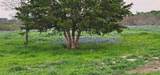 TBD County Road 212 - Photo 29