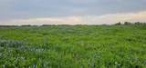 TBD County Road 212 - Photo 31