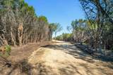 TBD County Road 1012 - Photo 2