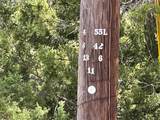 39027 Cedar Trail - Photo 4