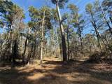 Lot 2 Private Road 8573 - Photo 2