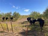 TBD Fm 2164 - Photo 7