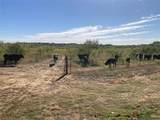TBD Fm 2164 - Photo 8