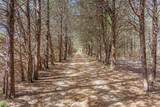1393 County Road 2250 - Photo 2