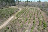 TBD East Hwy 59 - Photo 17