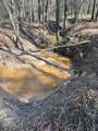 TBD Billy Ray Rd - Photo 2