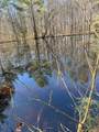 TBD Billy Ray Rd - Photo 9