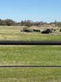 3345 Collins Road - Photo 13