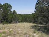 Lot 11 Ph 5 Private Road - Photo 17