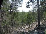 Lot 11 Ph 5 Private Road - Photo 2