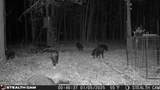 160 Zigler Road - Photo 8