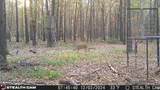 160 Zigler Road - Photo 9