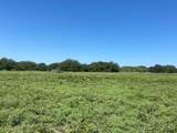 TBD F.M. 3023 Highway - Photo 7